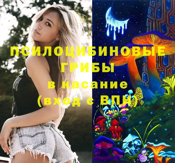 а пвп мука Верхний Тагил