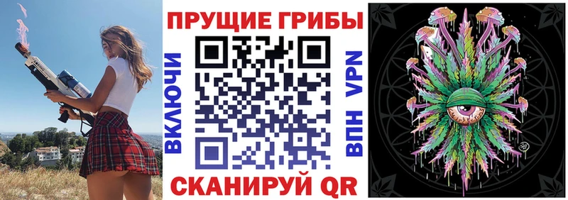 Псилоцибиновые грибы Psilocybe  Купить закладки  Юрга 